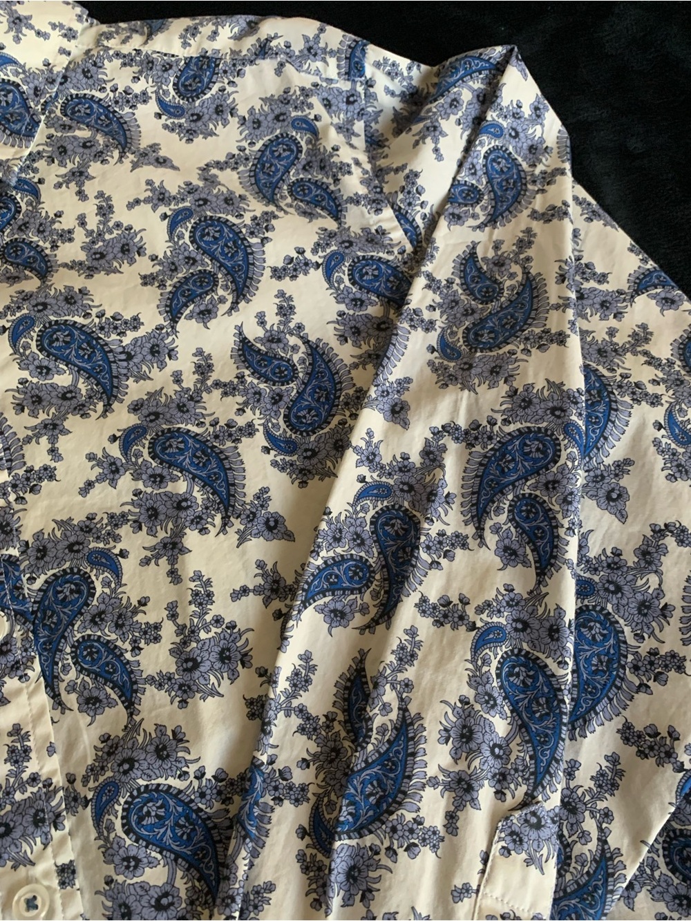 Daniel Cremieux White and Blue Paisley Button-Down Shirt - Picture 2 of 6